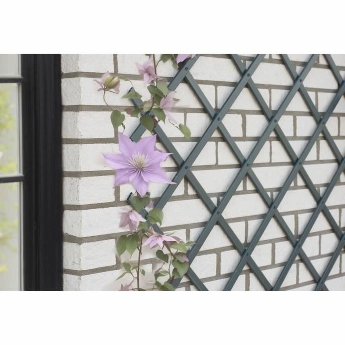 Decoración de exterior